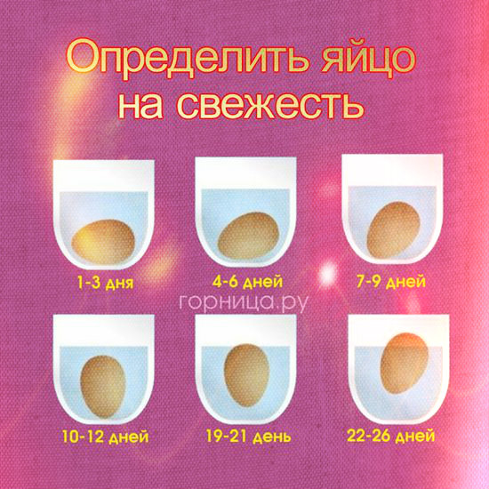 Простой способ определить свежесть куриного яйца