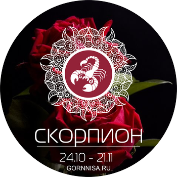 Скорпион 24.10 - 21.11 - https://gornnisa.ru/