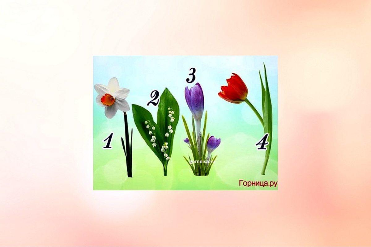 Тест для женщин - Выберите цветок и узнайте, что в Вас особенно мило