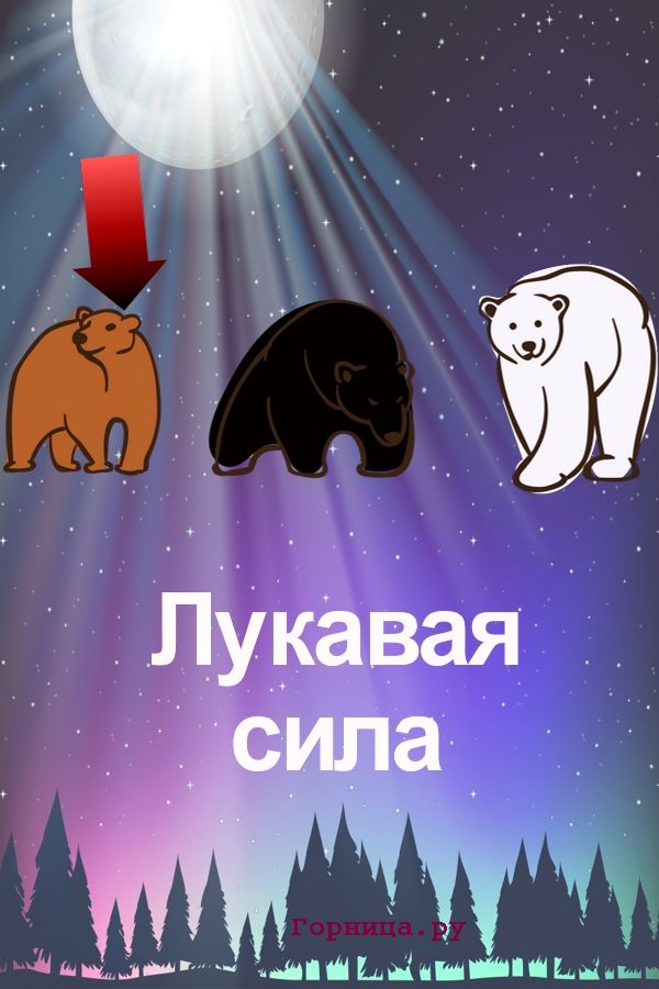 Медведь #1 - https://gornnisa.ru/