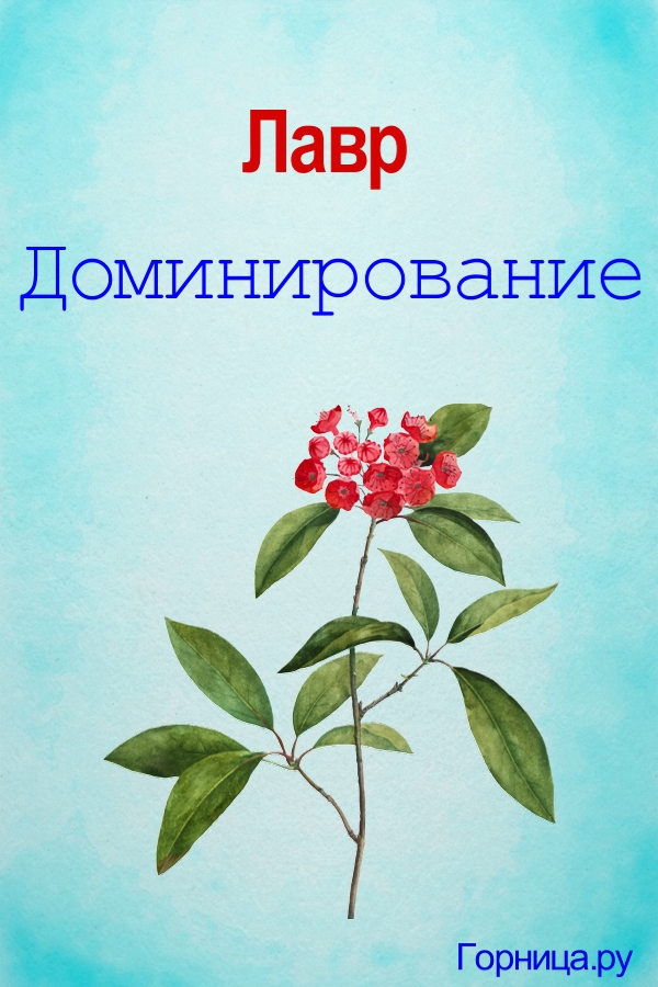 Цветок 2 - https://gornnisa.ru/