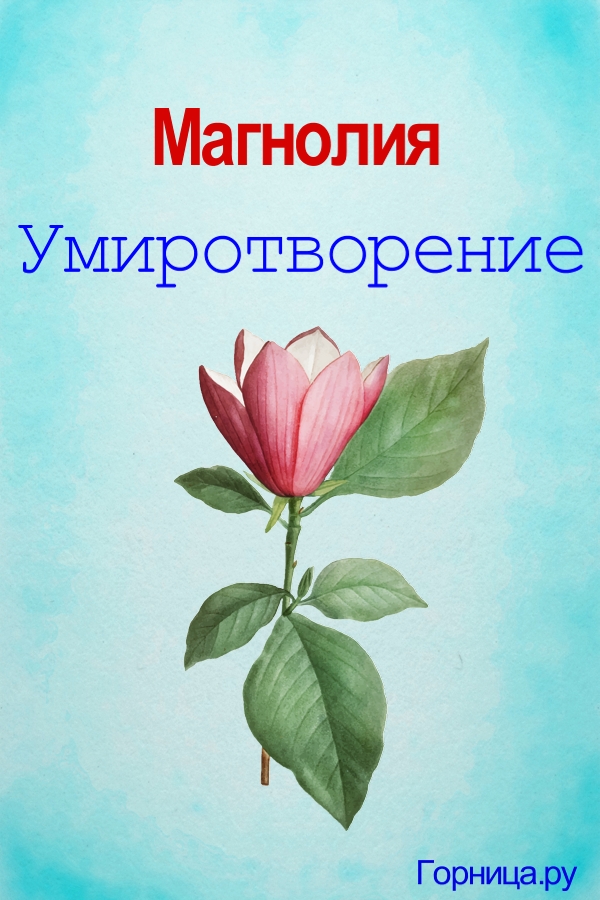 Цветок 3 - https://gornnisa.ru/