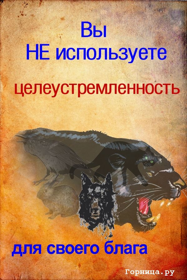 Волк - https://gornnisa.ru/