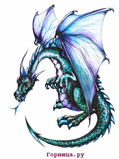 Природный символ вашей души по месяцу рождения Январь - дракон