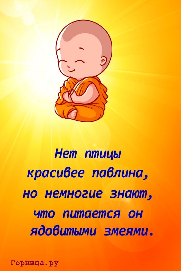 Монах #1 - https://gornnisa.ru