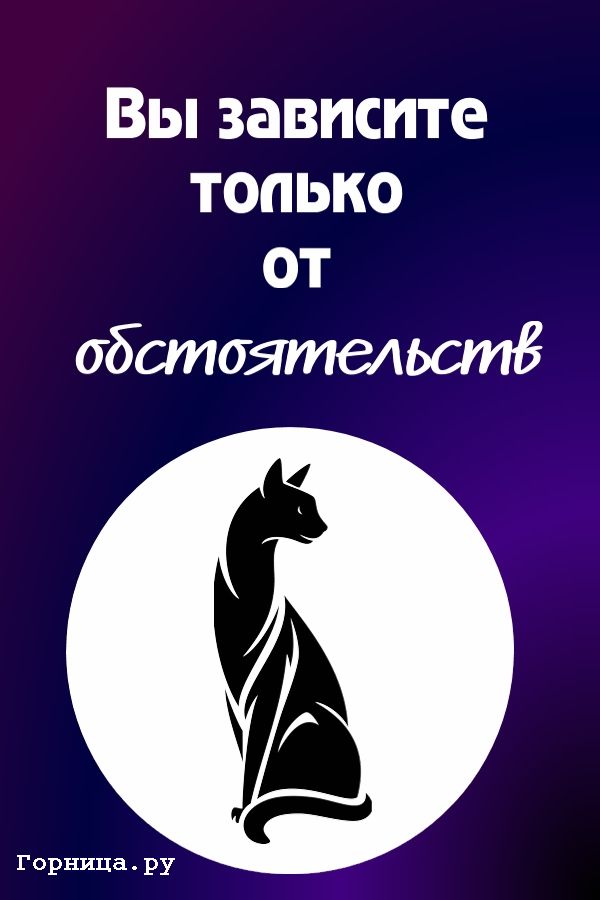 Кошка 1 - https://gornnisa.ru