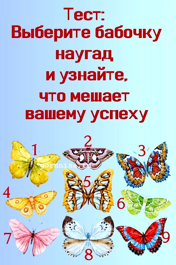 Тест - Выберите бабочку и узнайте, что мешает вашему успеху - https://gornnisa.ru/