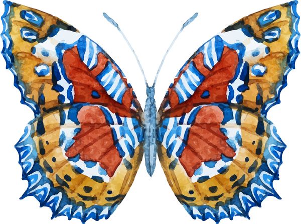 Тест - Выберите бабочку и узнайте, что мешает вашему успеху Бабочка 3 -  https://gornnisa.ru/