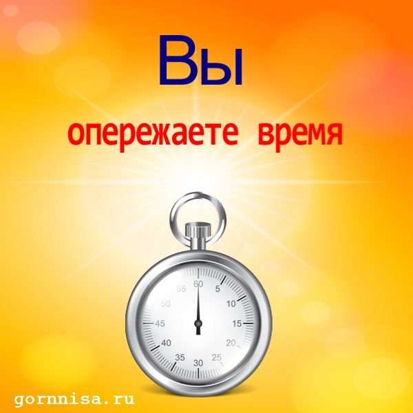 Часы 3 - секундомер  https://gornnisa.ru/