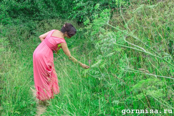 Тринадцать признаков того, что настало время развивать ваш природный дар https://gornnisa.ru/ Интерес к травам и камням
