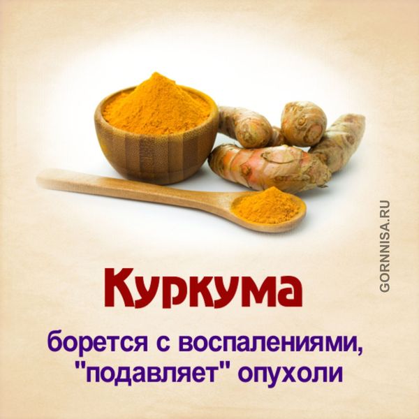 Куркума - https://gornnisa.ru/