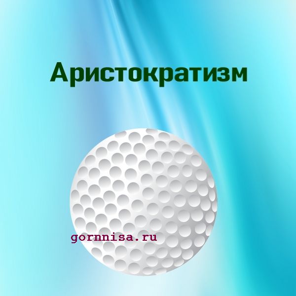 Мяч 9 - гольф - https://gornnisa.ru