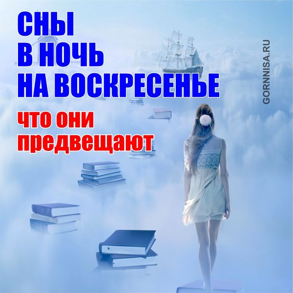 Сны сегодня