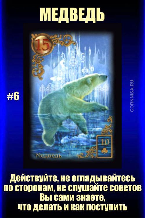 Карта #6 - Медведь - https://gornnisa.ru