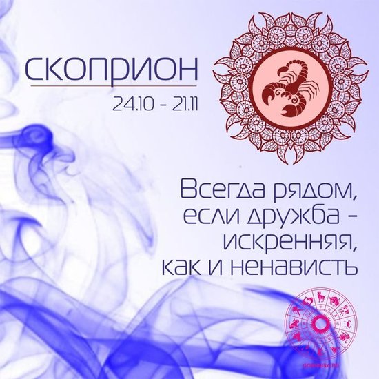 Скорпион 24.10 - 21.11 - gornnisa.ru/