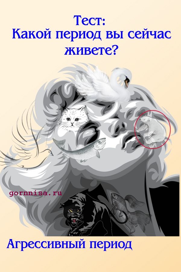 Белый медведь https://gornnisa.ru/