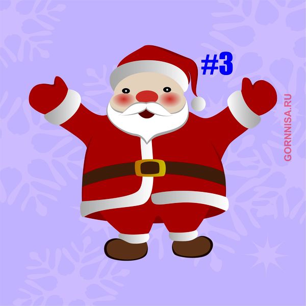 Тест прогноз - Что Вам хочет сказать Дед Мороз Дед Мороз #3 - gornnisa.ru