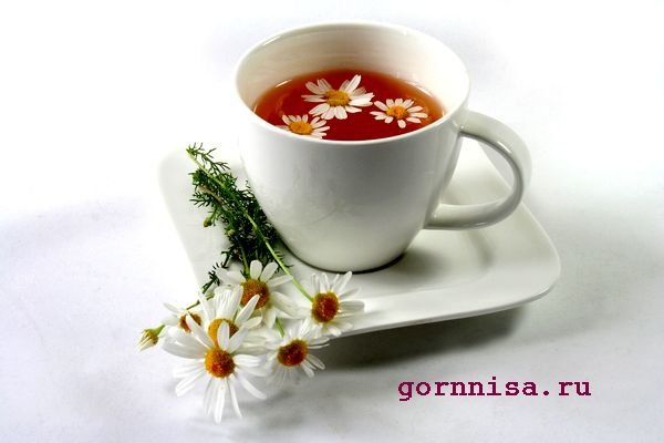 Важные новогодние советы для вашей фигуры https://gornnisa.ru/ Ромашковый чай на столе