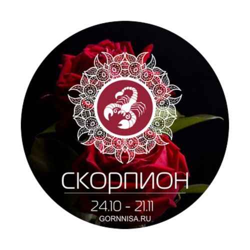 Знаки Зодиака в браке - gornnisa.ru - Скорпион 