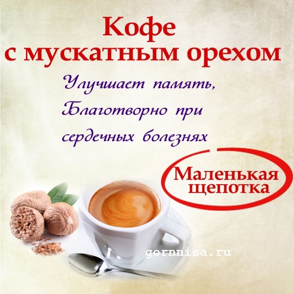 Кофе с мускатным орехом
https://gornnisa.ru/
