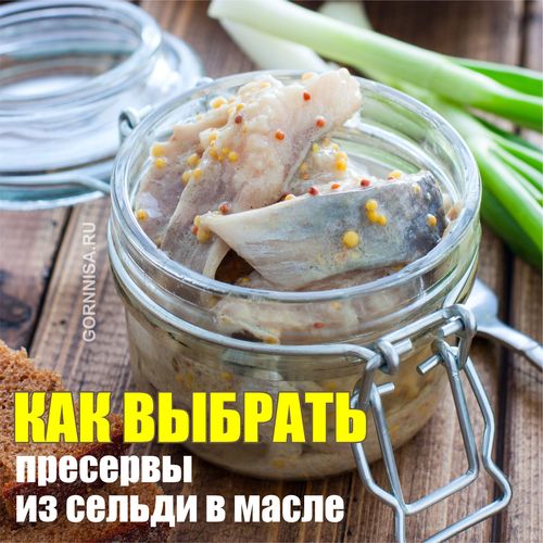 Как выбрать пресервы из сельди в масле - gornnisa.ru