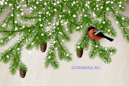 Совет дня - каждому знаку зодиака - gornnisa.ru