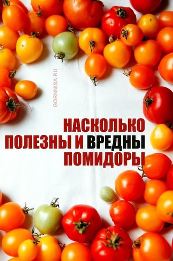 Насколько полезны и кому вредны помидоры https://gornnisa.ru