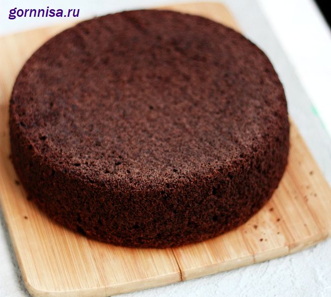 Простой шоколадный бисквит https://gornnisa.ru/