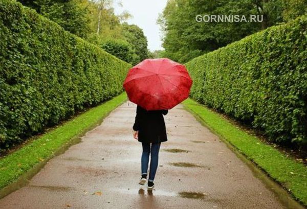 Вы предпочитаете гулять в одиночестве - https://gornnisa.ru