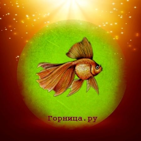 Денежный тест — Узнайте свои возможности Золотая рыбка