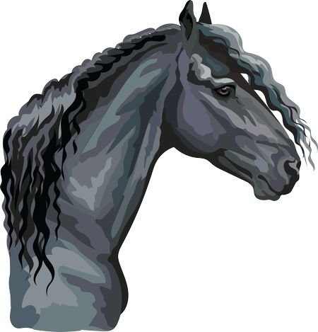 Лошадь 4 – Эмпат - https://gornnisa.ru/