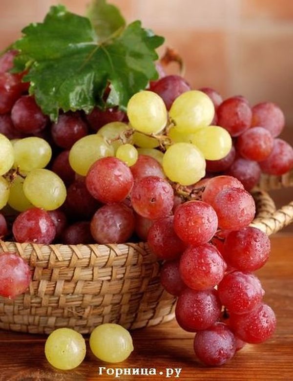 Сколько винограда нужно есть, чтобы улучшить свое здоровье? - https://gornnisa.ru