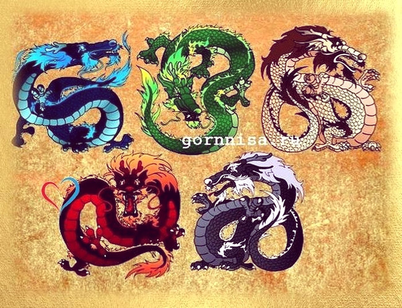Тест ба. Символ Китая дракон. Дракон удачи. Дракон Бацзы. Драконы по знаку зодиака.