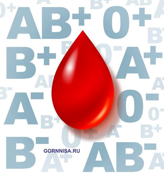 Группа крови определяет Ваш характер - https://gornnisa.ru/