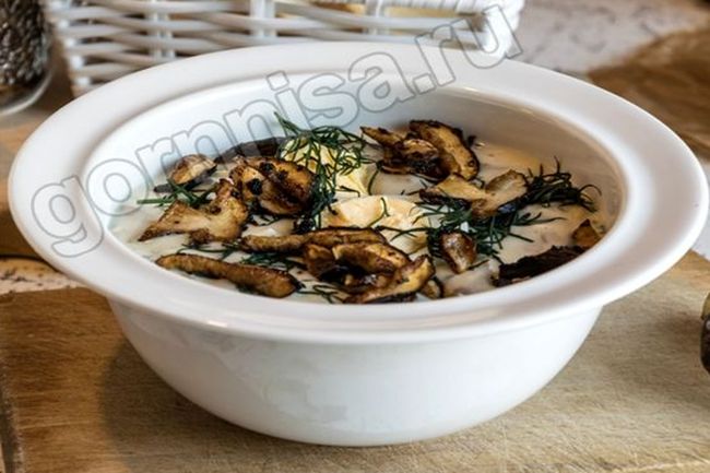 Рецепт - Сырный суп с грибами - просто и вкусно - https://gornnisa.ru/