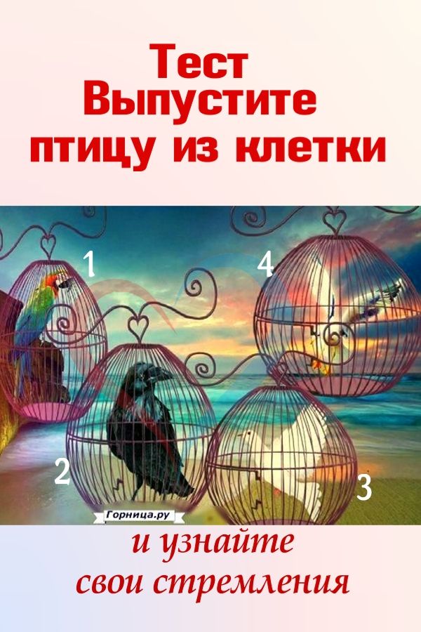 Тест — Выпустите птицу из клетки и узнайте свои стремления https://gornnisa.ru/