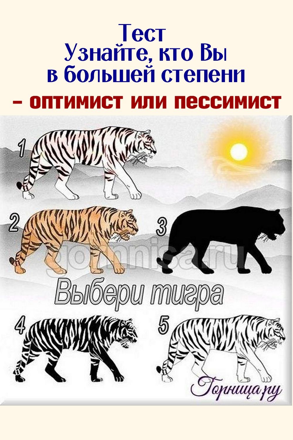 Тест тигр