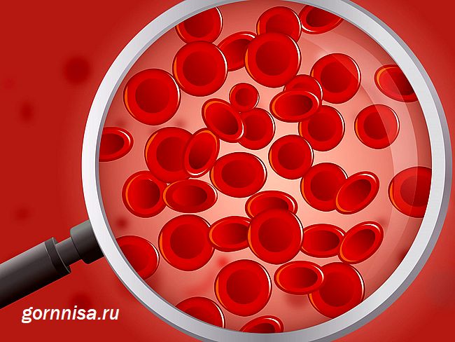 Семь продуктов, которые повышают уровень гемоглобина - https://gornnisa.ru/