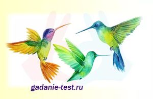 Тест личности — Выберите птицу