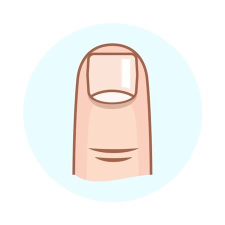 Тип 1 - Широкие, длинные и прямоугольные ногти - Тип личности по форме ногтей - https://gornnisa.ru//