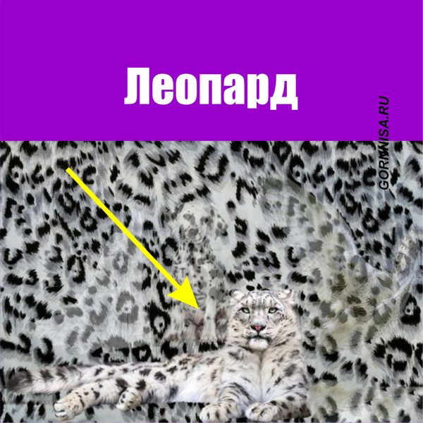 Леопард - https://gornnisa.ru/