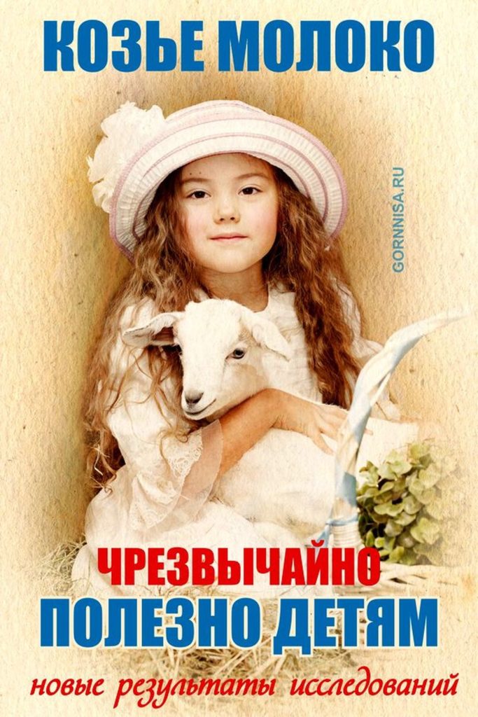 Козье молоко чрезвычайно полезно детям - https://gornnisa.ru
