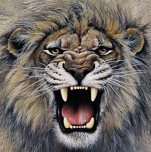 5 - Агрессивный лев