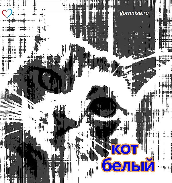 Тест на ведущие качества личности - всего один вопрос https://gornnisa.ru/ белый кот