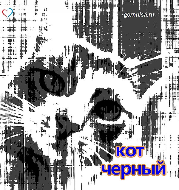 Тест на ведущие качества личности - всего один вопрос https://gornnisa.ru/ черный кот