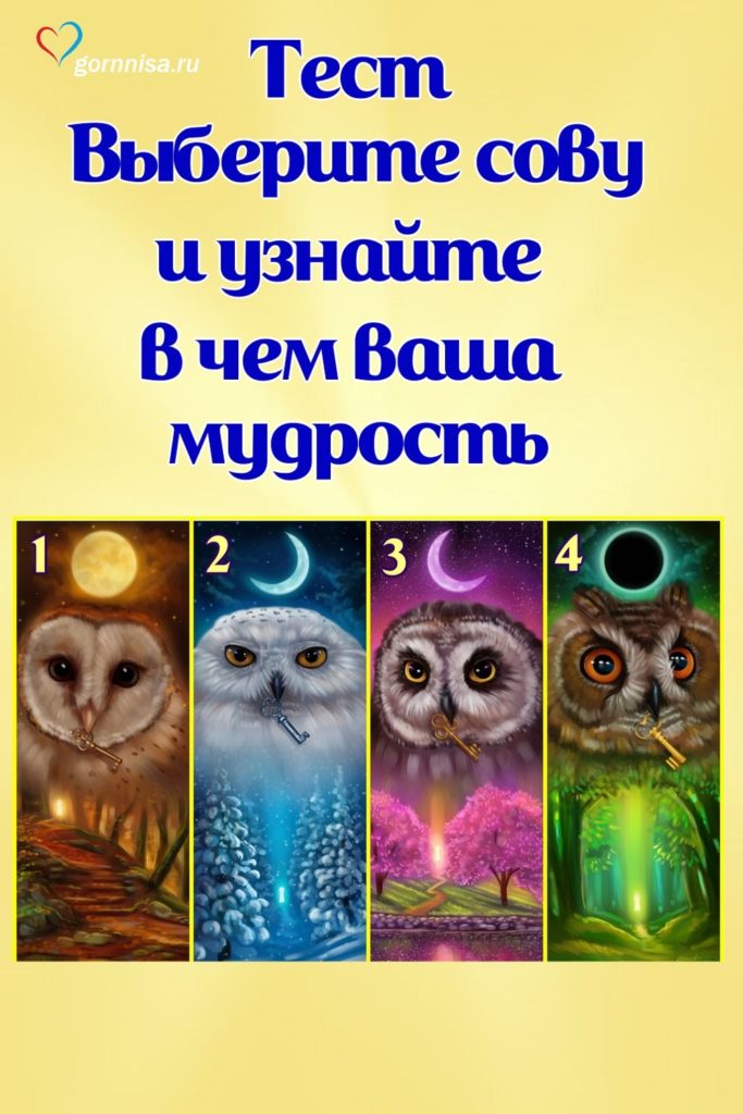 Тест - Выберите сову и узнайте в чем ваша мудрость https://gornnisa.ru/