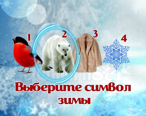 Тест - Как вас изменит зима - 2 новых качества вашей натуры 2 белый медведь