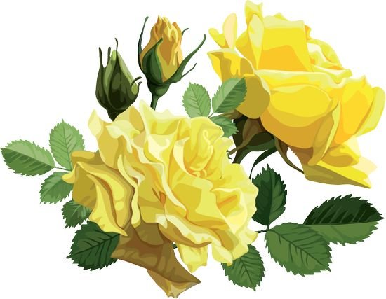 Женский тест - Выбранная роза определит ваш шарм https://gornnisa.ru/ Роза 1