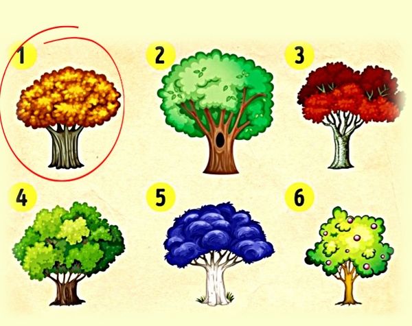 Тест на ваше удачное время - Выберите дерево https://gornnisa.ru/ Дерево 1