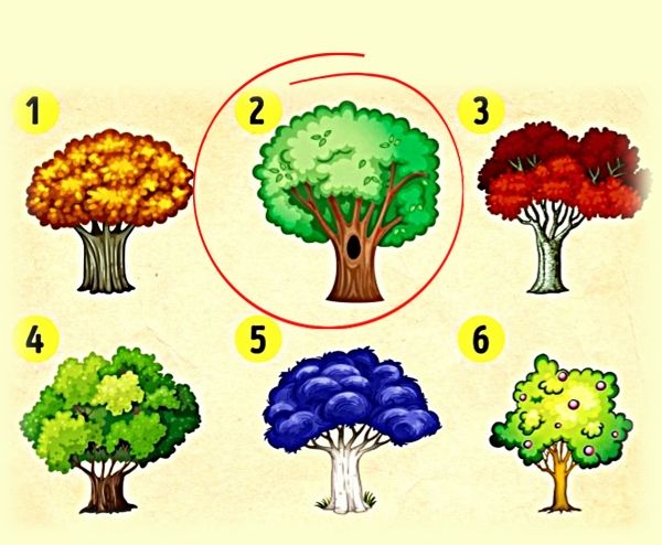 Тест на ваше удачное время - Выберите дерево https://gornnisa.ru/ Дерево 2